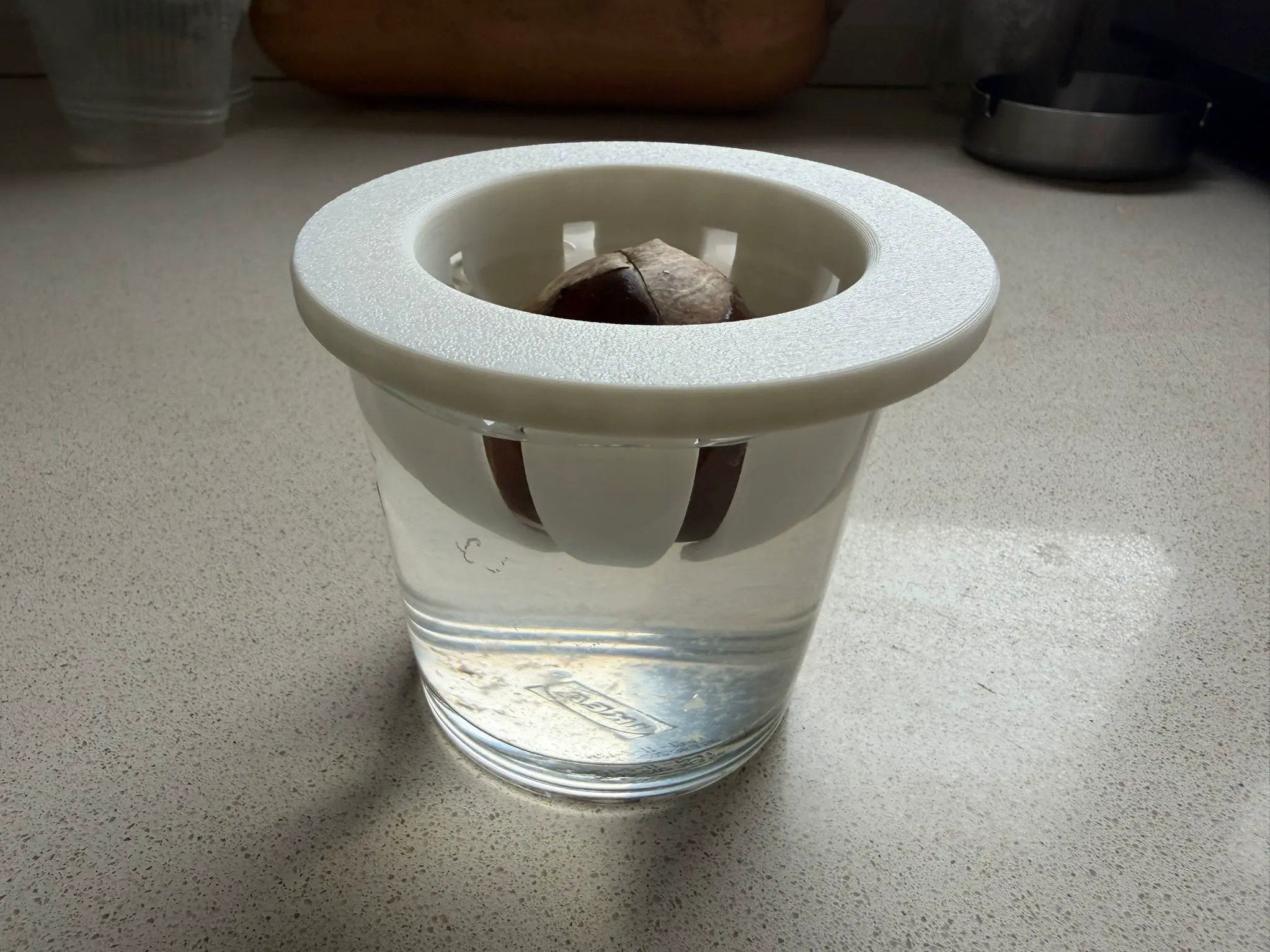 Source preview of the Avocado Germinator v2 3D model by JUAN PARDO VILARIÑO
