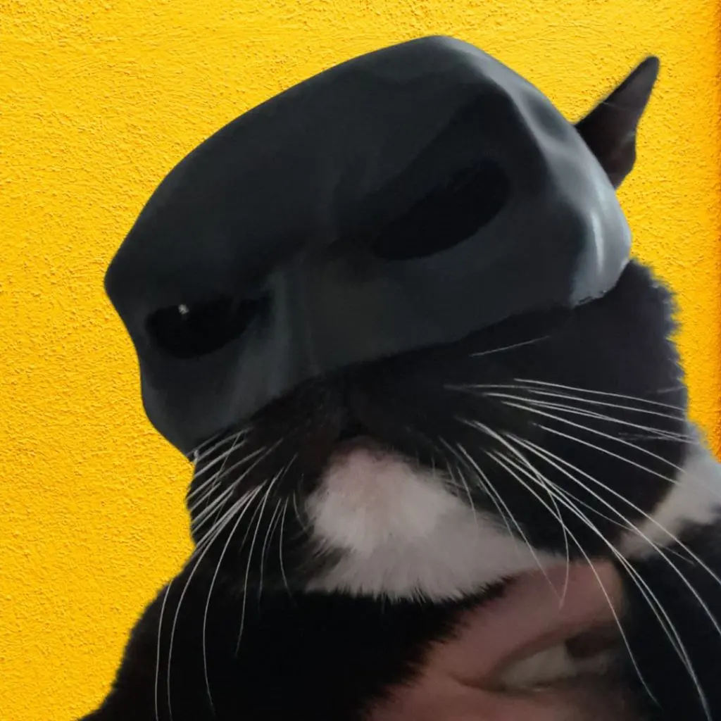 Bronvoorbeeld van het 3D-model bat-cat door user6105932211
