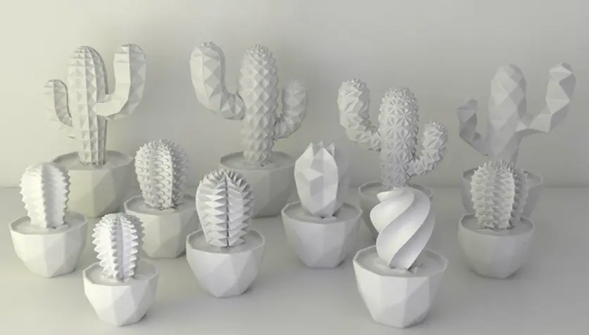 Bronvoorbeeld van het 3D-model Cactus all kinds door Nagy-Tóth Ivett