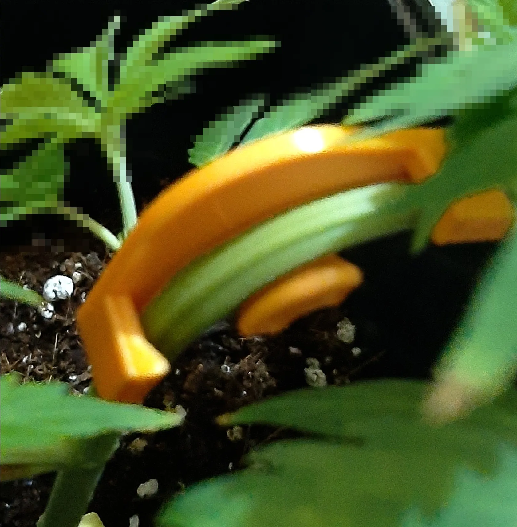 Source preview of the Cannabis - Branch Support 3D model by Hayakprintstuff