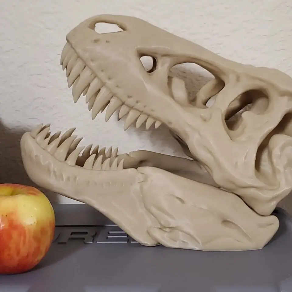 Bronvoorbeeld van het 3D-model craneo t rex door Antonio Saenz
