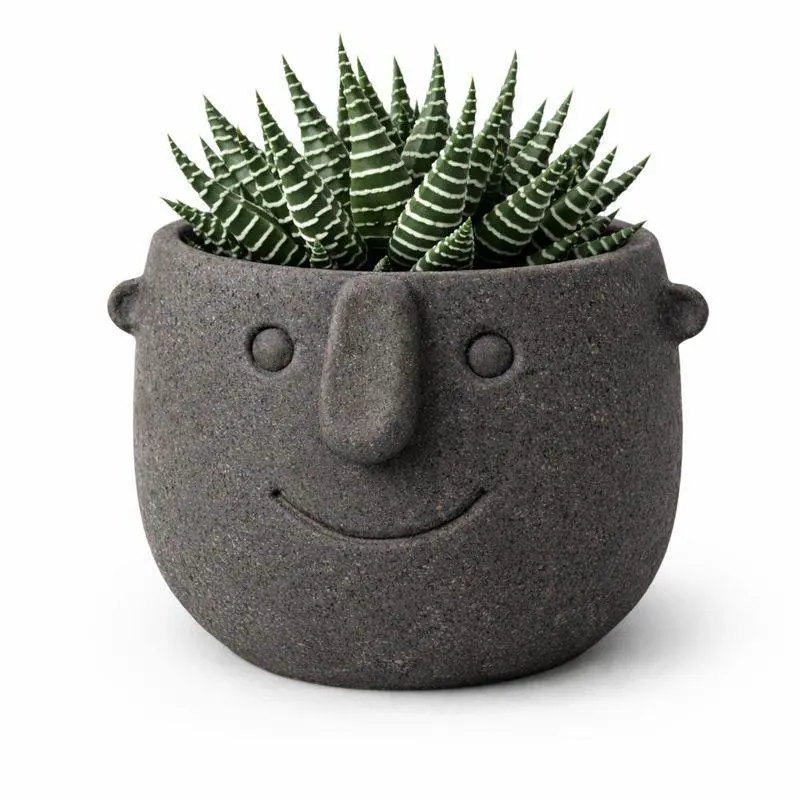 Bronvoorbeeld van het 3D-model Face Pot Planter - Succulent - Cactus - Pothos door JoacoMontagna