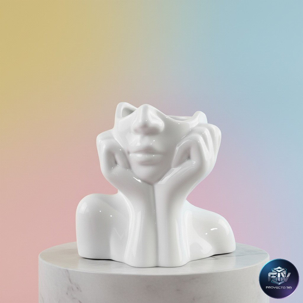 Source preview of the FACE SHAPED VASE 3D model by PROYECTO F.I.V 3D