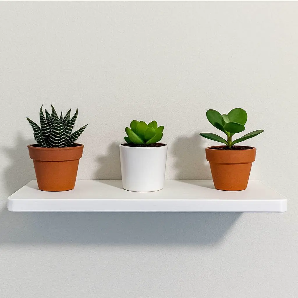 Source preview of the Floating Shelf 3D model by Fattyliver