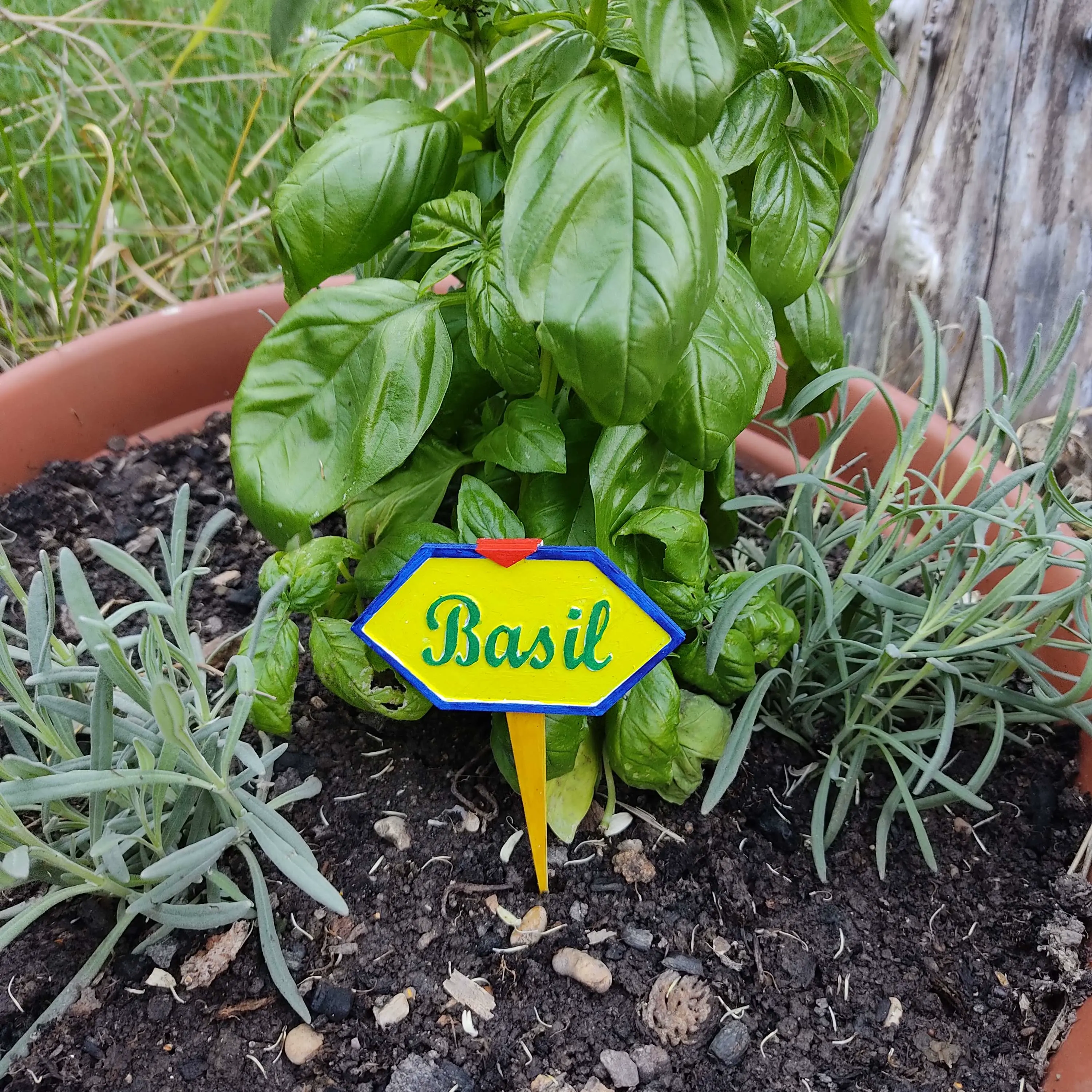 Bronvoorbeeld van het 3D-model Label for the vegetable garden door Dem_ria