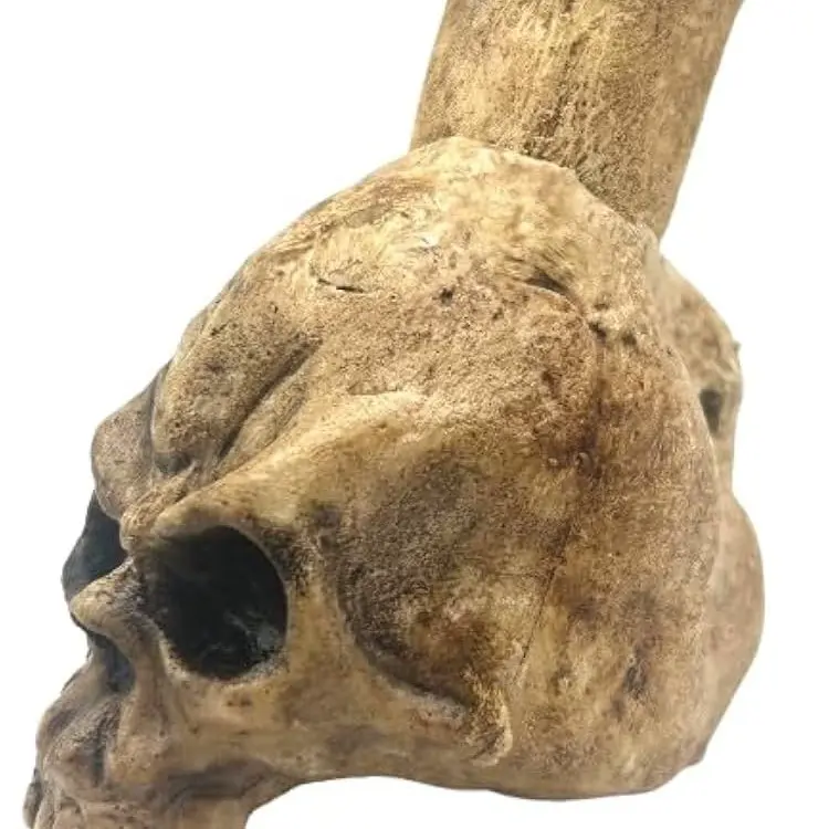 Source preview of the Mayan death whistle 3D model by Swampscroat