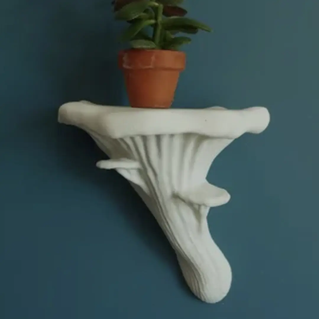 Bronvoorbeeld van het 3D-model mushroom shelf door user5283730800