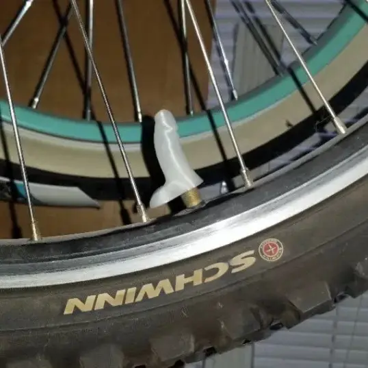 Bronvoorbeeld van het 3D-model Penis valve stems door Qwnn