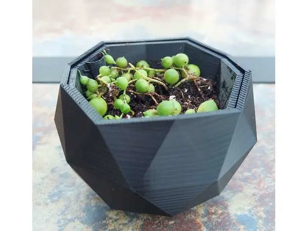 Source preview of the Pot lowpoly 3D model by Vincuk Konan