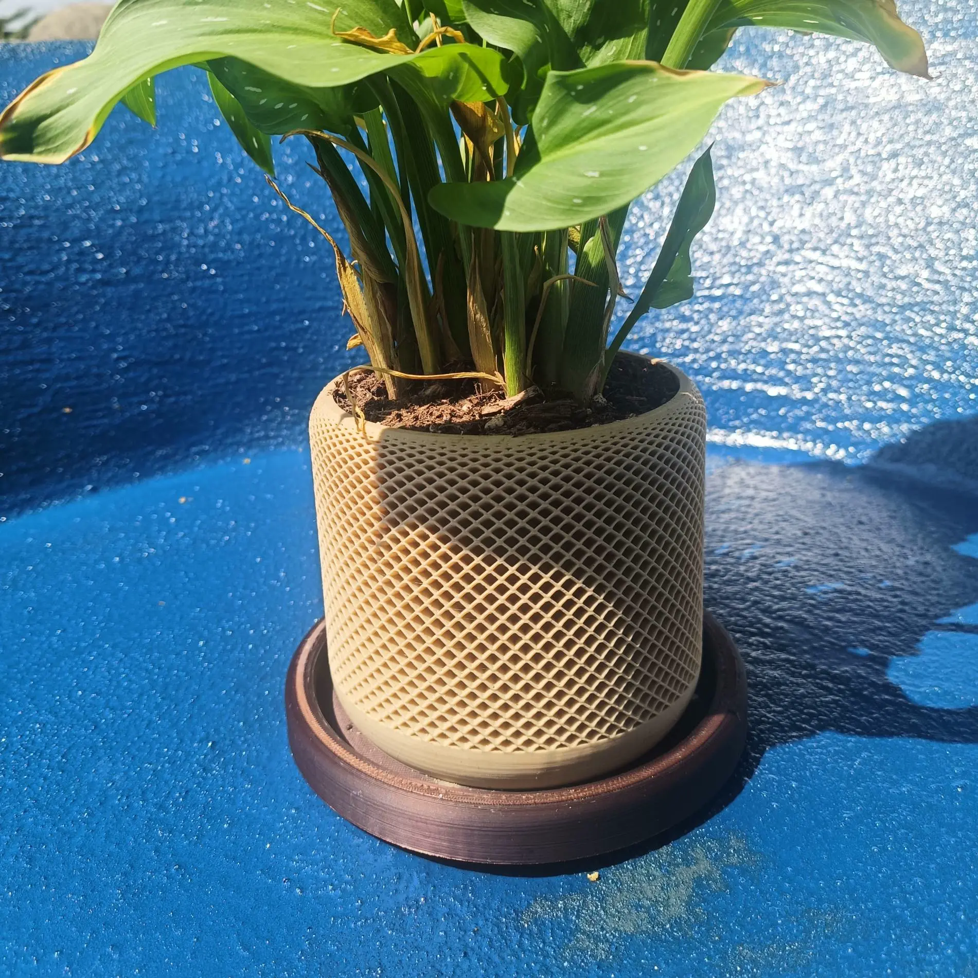 Source preview of the Pot Plant with Mesh and Drip Tray 3D model by ShaWayle