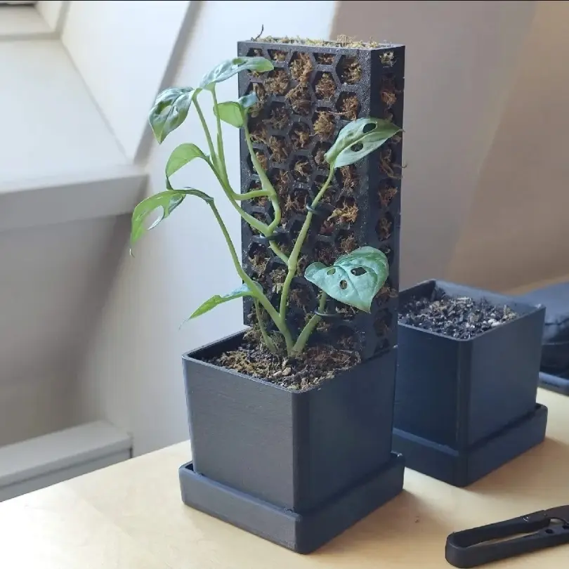 Bronvoorbeeld van het 3D-model Propbox with moss pole door eric collen