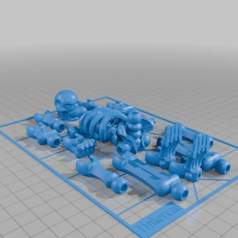 Source preview of the Skeleton  3D model by Cro supervizor