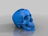 Bronvoorbeeld van het 3D-model skull desk organizer  door Amanda Hornsby