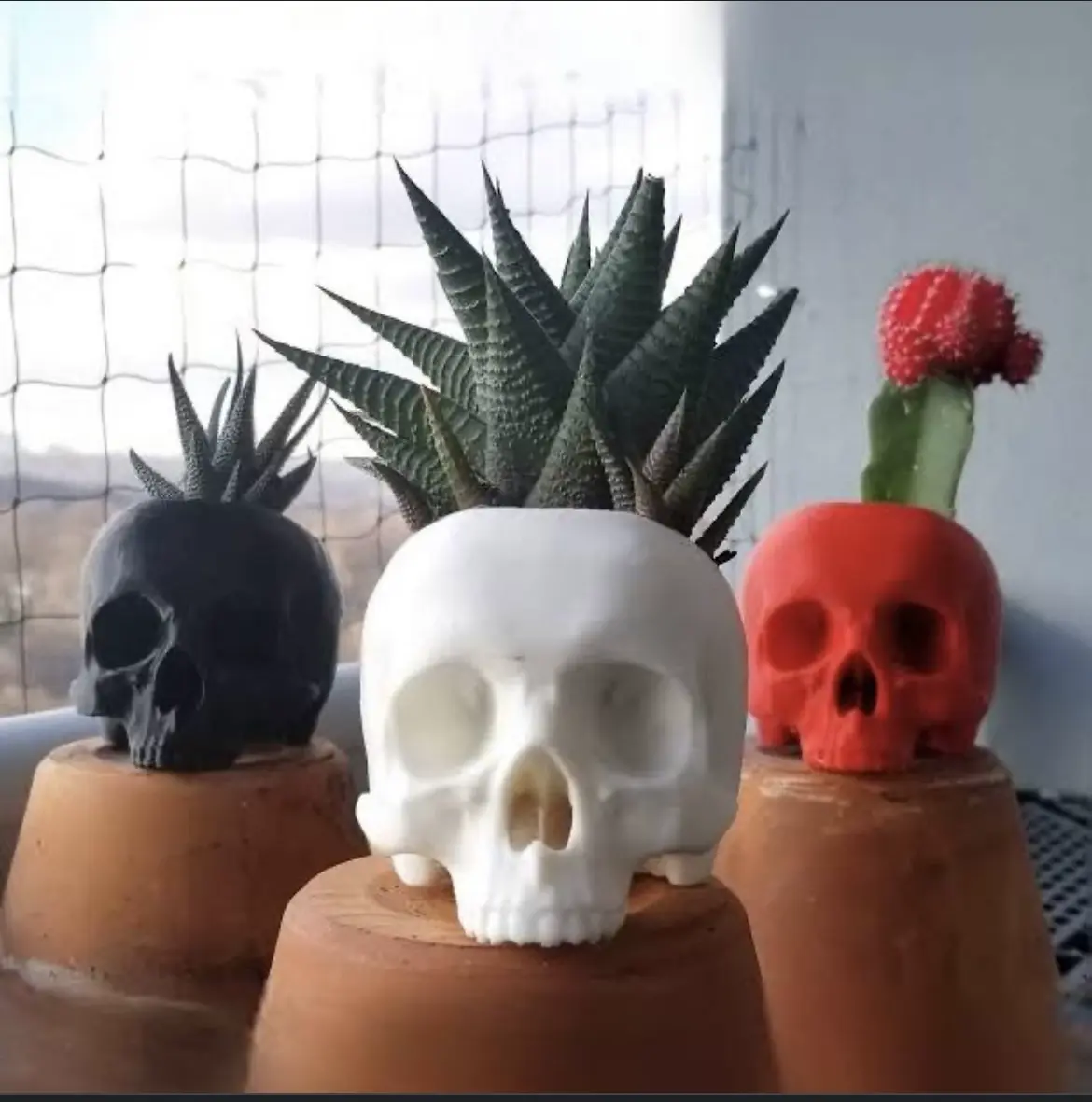 Bronvoorbeeld van het 3D-model Skull plant pot door ThatElm0