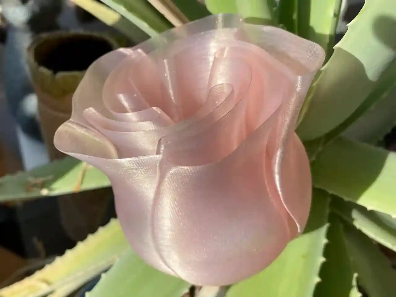 Bronvoorbeeld van het 3D-model Spiral Vase Rose door David S.