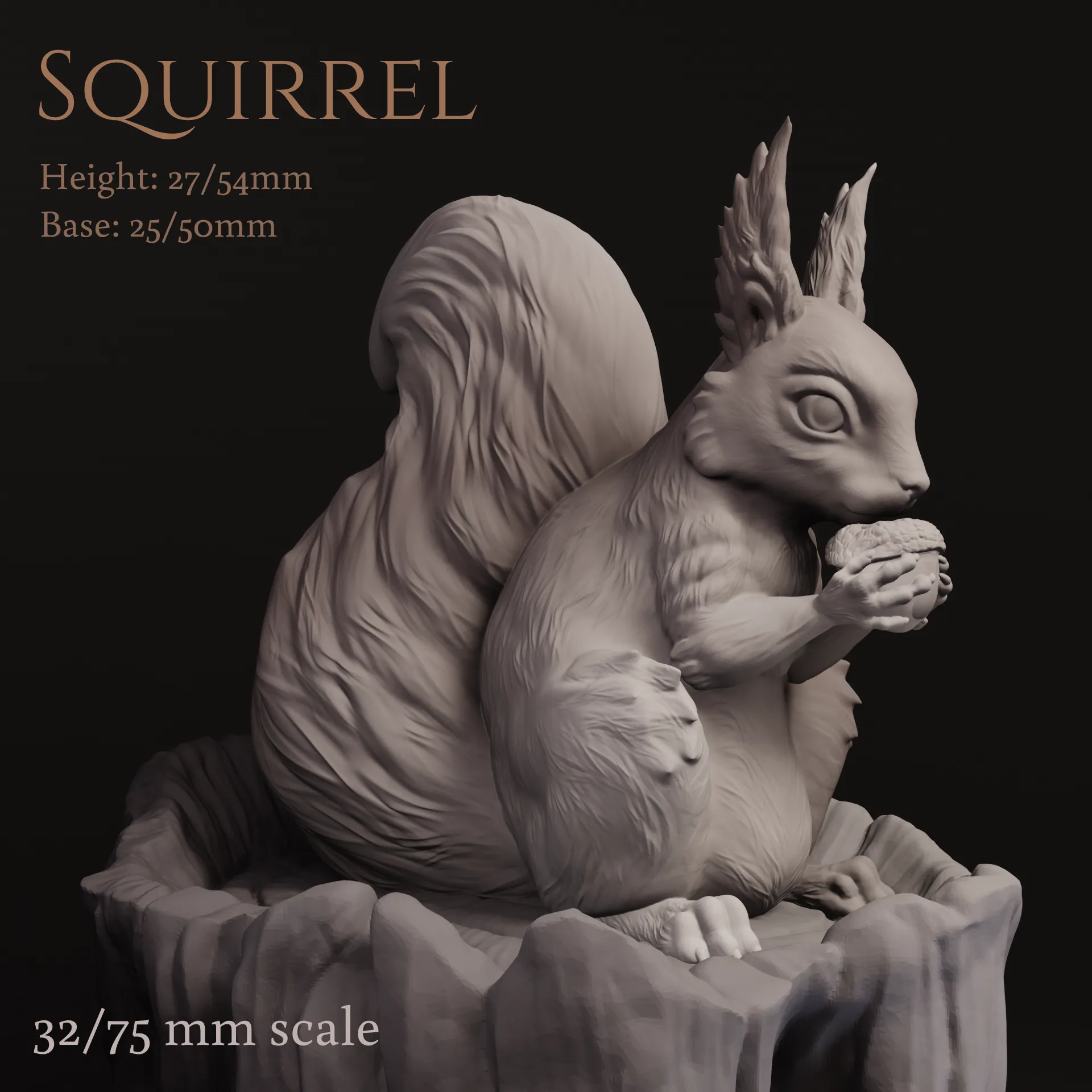 Source preview of the Squirrel 3D model by YellowDay