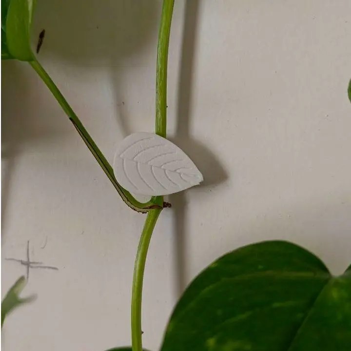 Bronvoorbeeld van het 3D-model Wall Clip for Plants door Mega designn