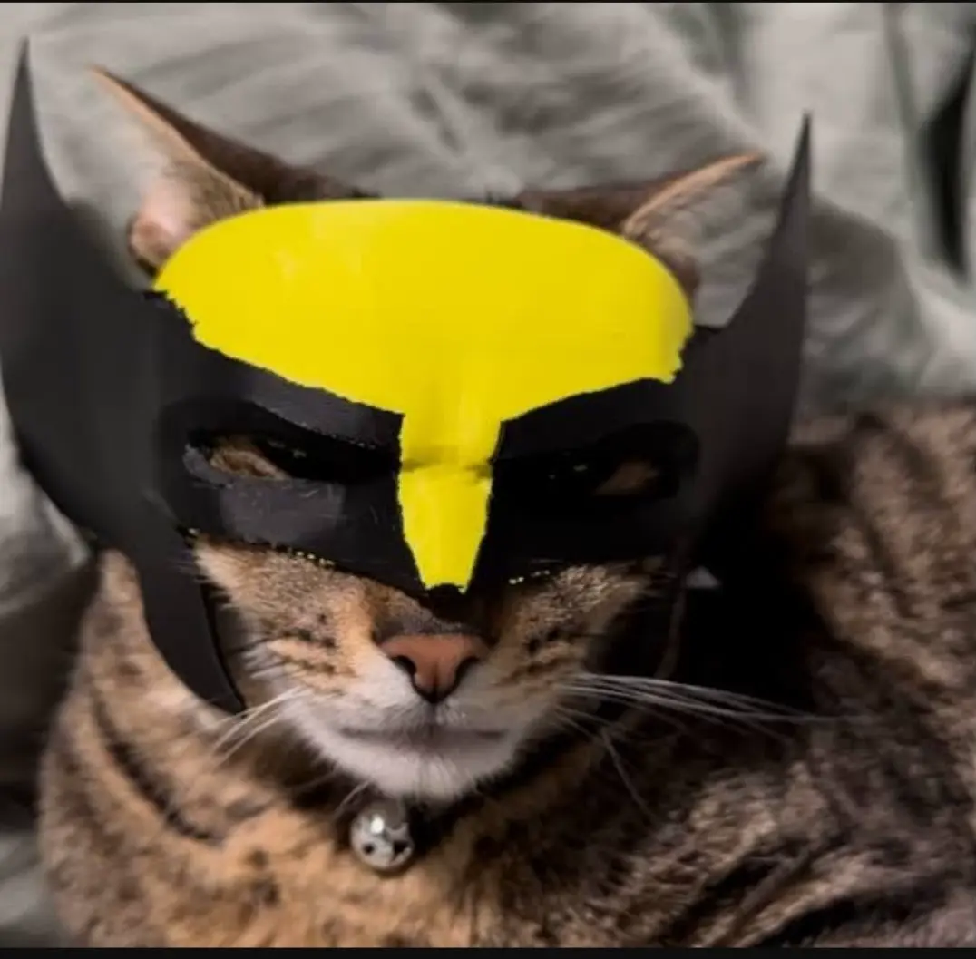 Bronvoorbeeld van het 3D-model Wolverine cat mask door Dave Lonsdale (Husquie)